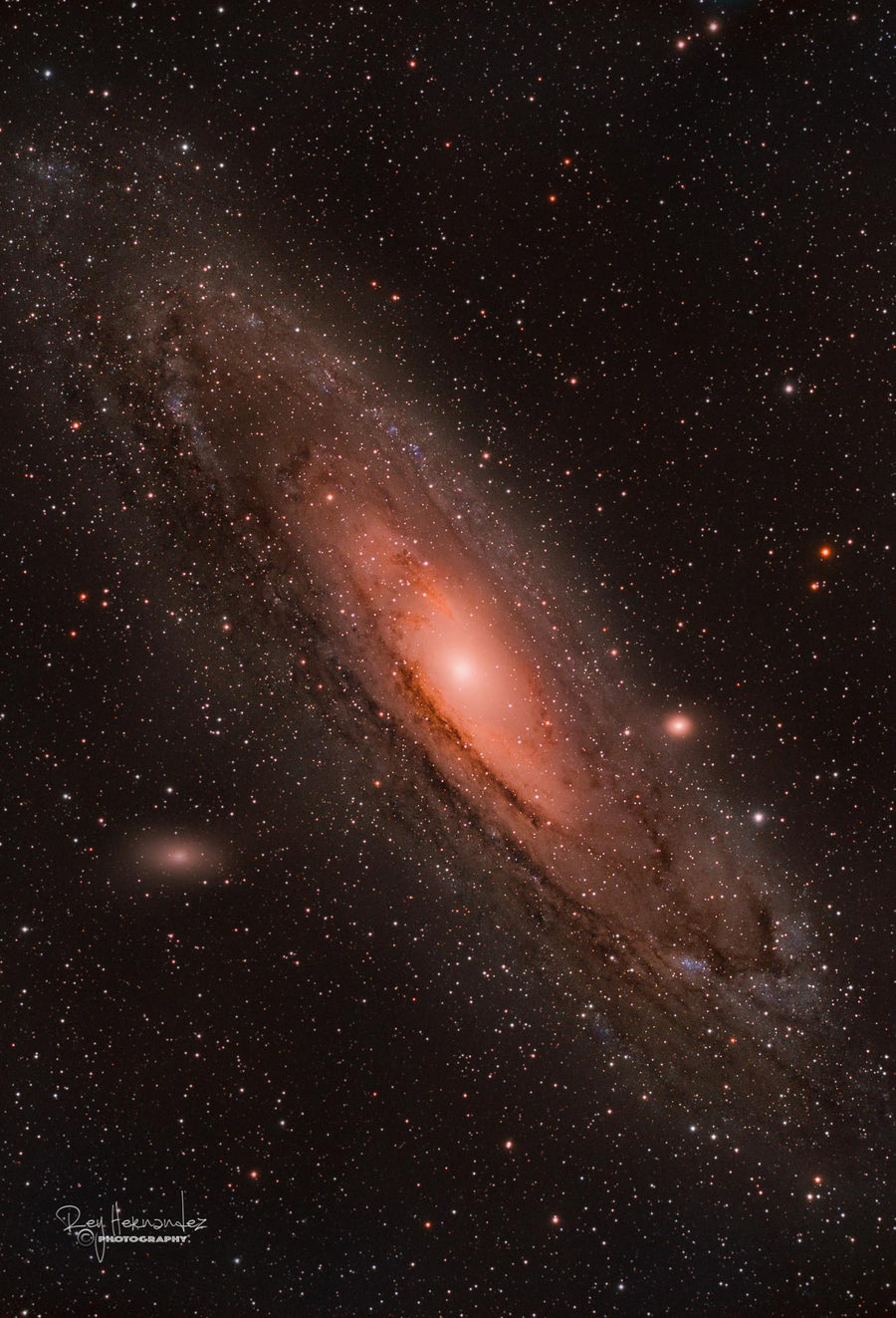 The Cosmos Line